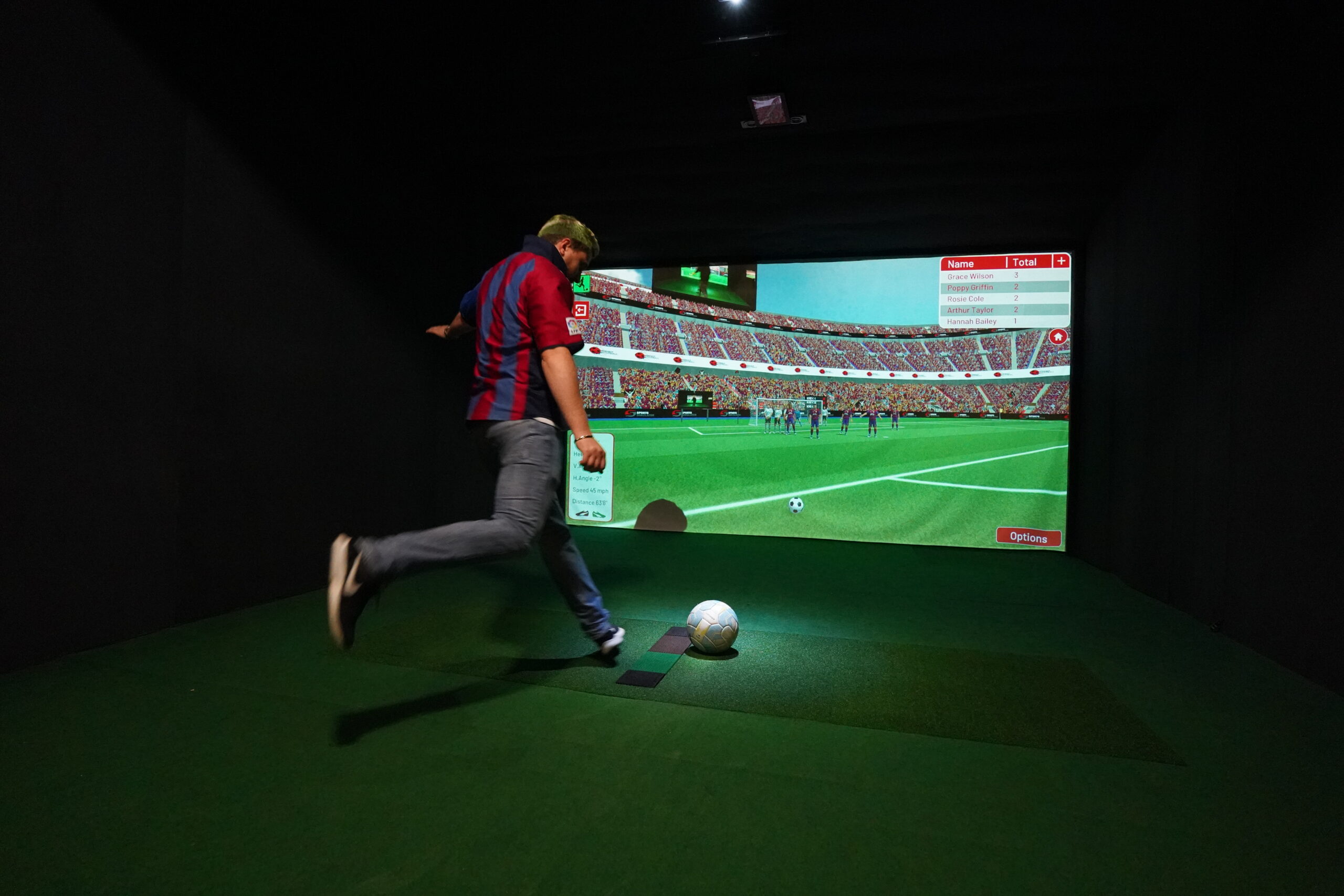 sports simulator